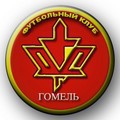 FK DSKGomel FK DSKGomel