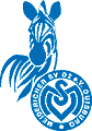 MSV Duisburg U19