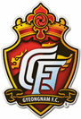 Gyeongnam FC Jugend